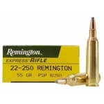 Remington 22-250 REM 55GR PSP (R22501)