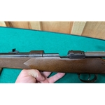 Danzig Gewehr (GEW) 98