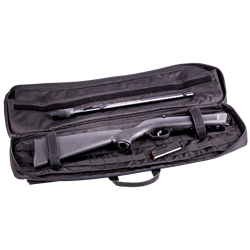 Savage Arms Model 64F 22LR, SEMI, TD, with Case