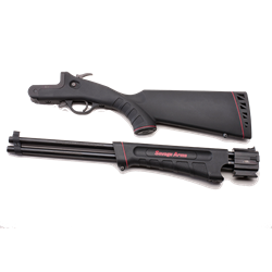 Savage Arms 42 TAKEDOWN, COMBINATION GUN