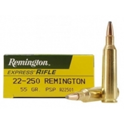 Remington 22-250 REM 55GR PSP (R22501)