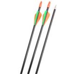 Diabow Youth Fiberglass Arrow 28"