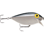 Silver Shad