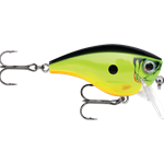 Chartreuse Shad